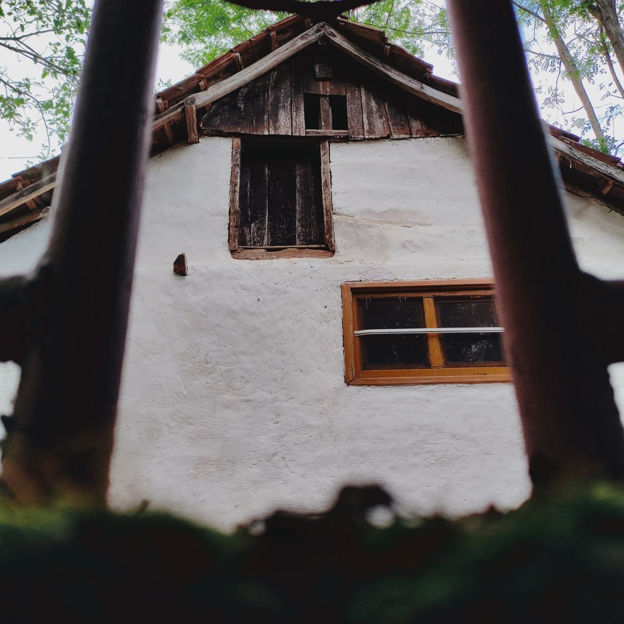 Hunting Lodge – photo 6