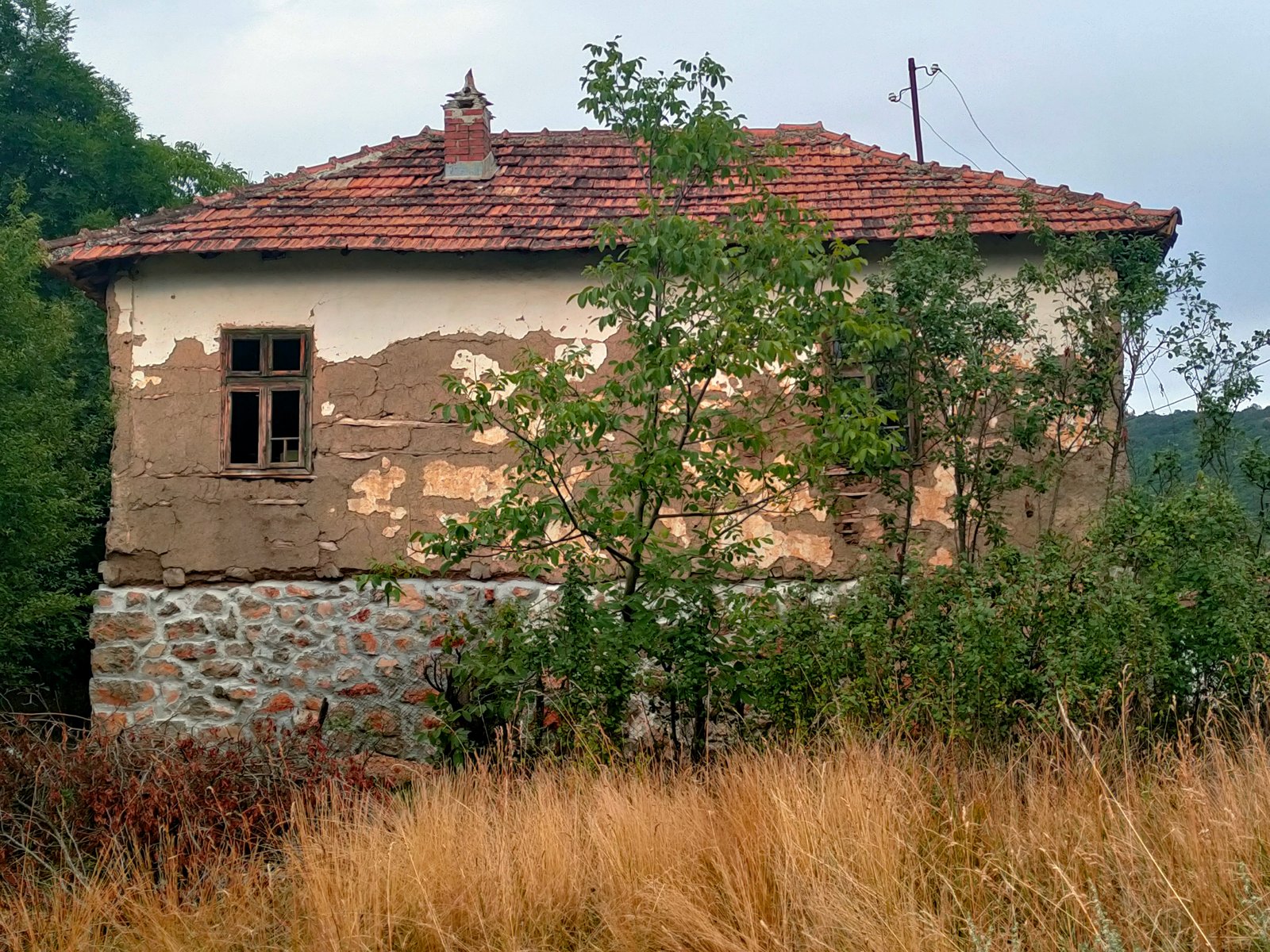 Mountain Home – photo 6