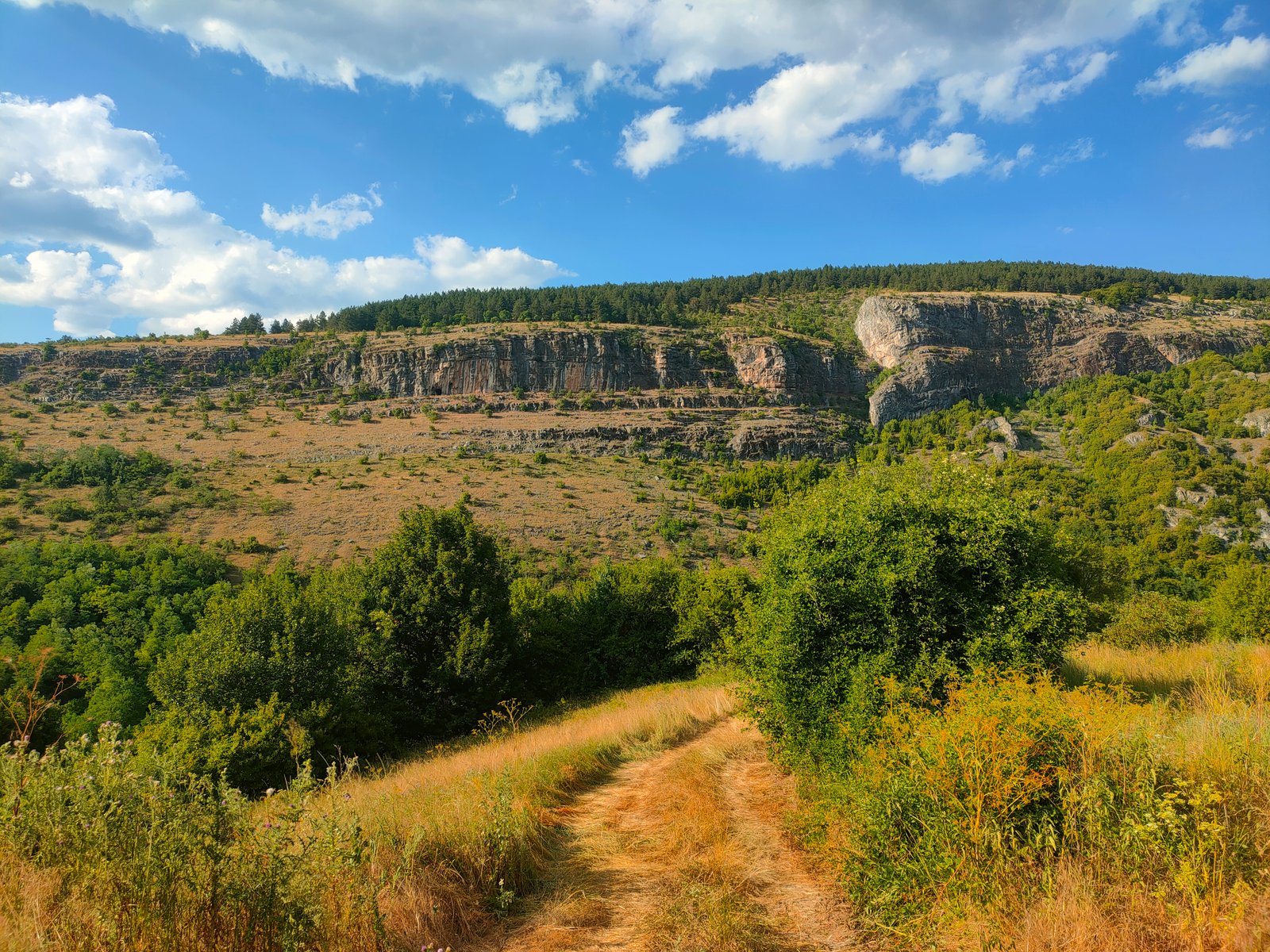 Mountain Home – photo 7