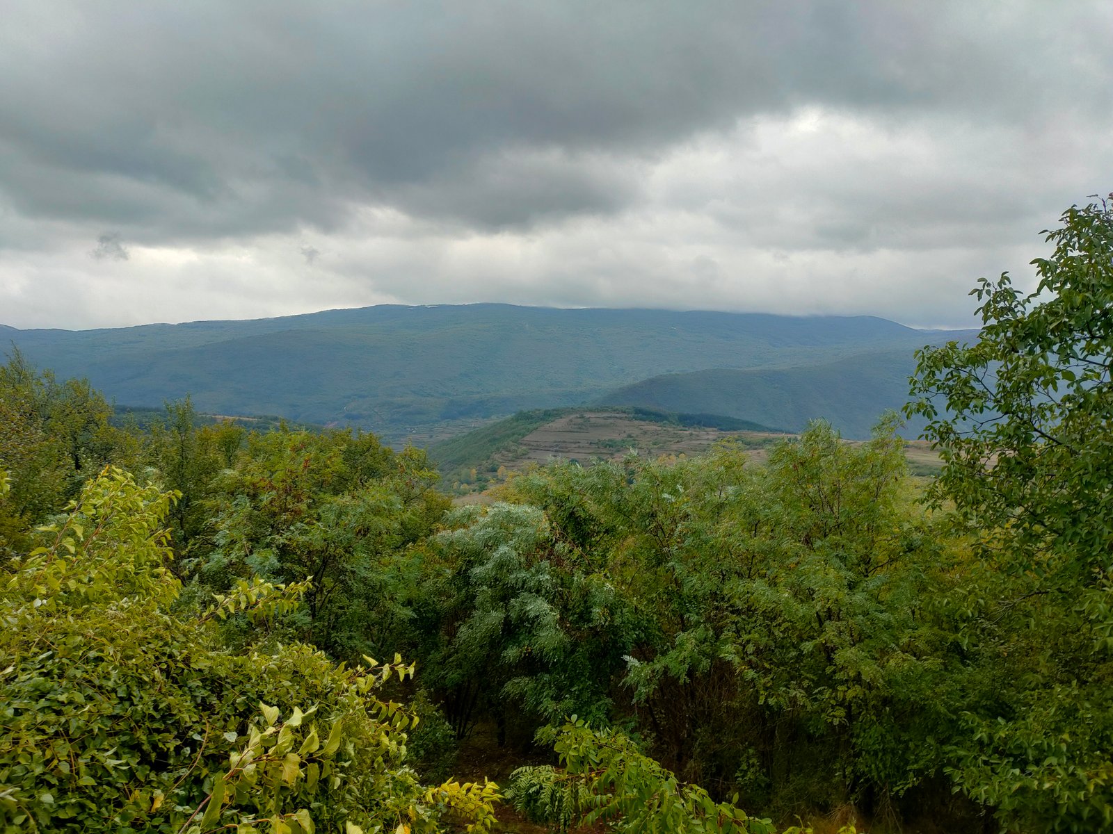 Family Estate – photo 12