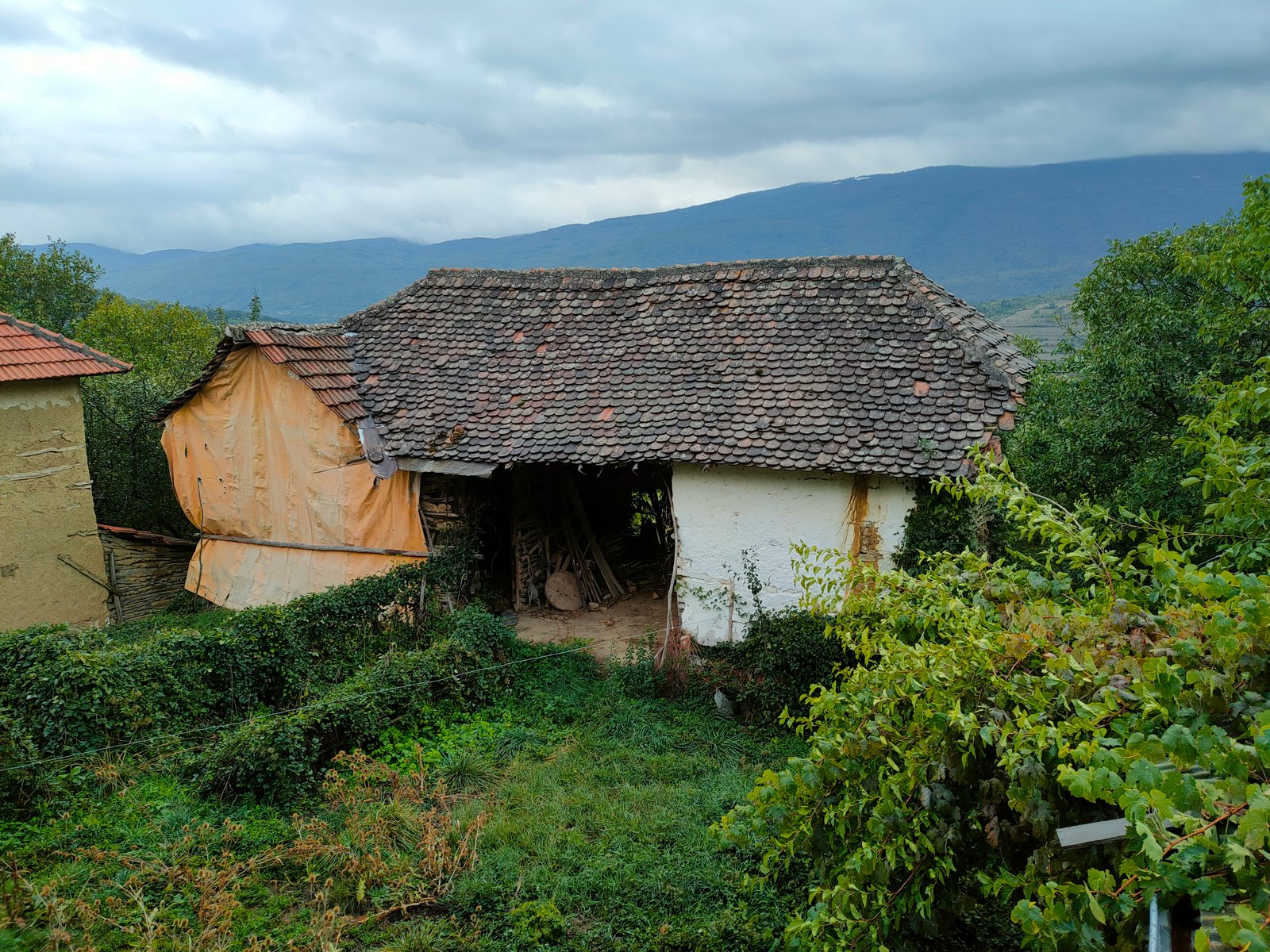 Family Estate – photo 3