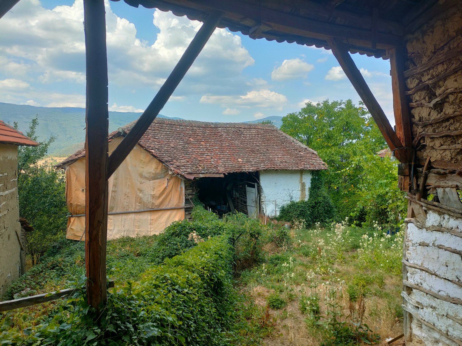 Family Estate – photo 4